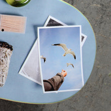 Load image into Gallery viewer, Habitat Skateboards - Dela Place Setting Deck - 8.125&quot;